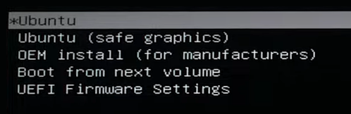 Выбор Ubuntu (safe graphics)